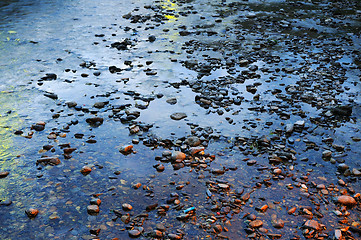 Image showing Stones on beach 