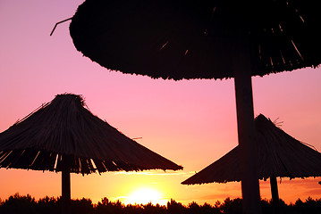 Image showing sunshine on beach with beach umbrellas silhouette