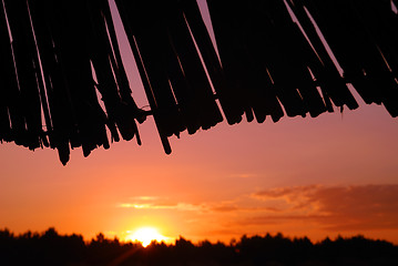 Image showing sunshine on beach with beach umbrellas silhouette