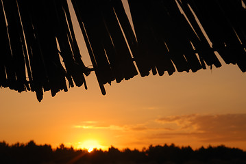 Image showing sunshine on beach with beach umbrellas silhouette