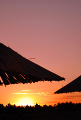 Image showing sunshine on beach with beach umbrellas silhouette