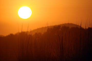 Image showing summer sunrise