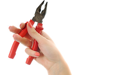 Image showing woman tool