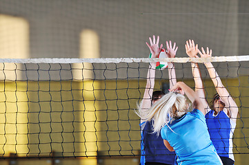 Image showing volleyball 