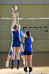 Image showing volleyball 