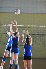 Image showing volleyball 