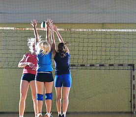 Image showing volleyball 