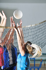 Image showing volleyball 