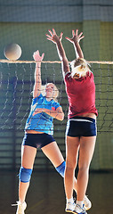 Image showing volleyball 