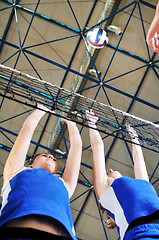 Image showing volleyball 