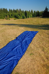 Image showing blue carpet in nature