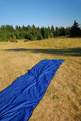 Image showing landscape with blue carpet