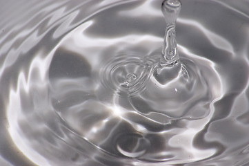 Image showing Double droplet