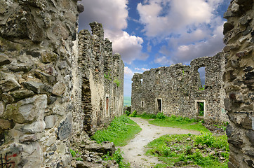 Image showing The ruins of Nevitsky castle 