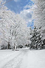 Image showing Landscape in Winter Park