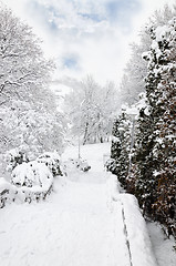 Image showing Landscape in Winter Park