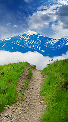 Image showing Path through lush countryside