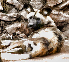 Image showing Pastel Image African Wild Dog with Gig Ears