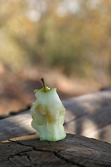 Image showing Apple on tree stump