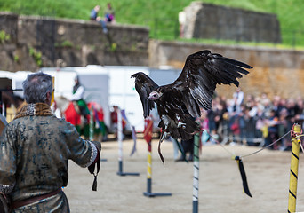 Image showing Bird Show