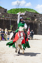 Image showing Victorious Knight