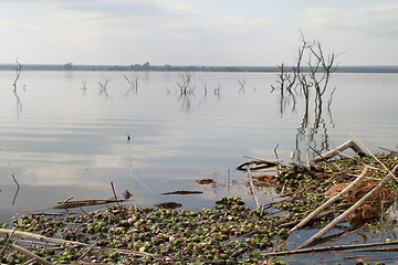 Image showing After the storm