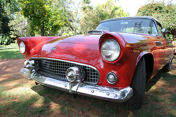 Image showing Ford t-bird