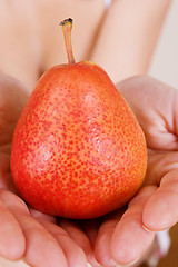 Image showing fruit #2