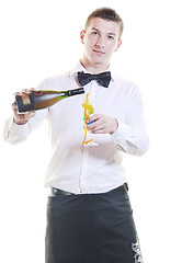 Image showing barman portrait isolated on white background