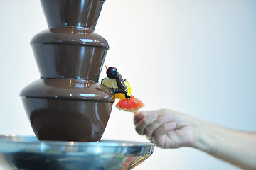 Image showing liquid chocolate fountain and fresh fruits on stick