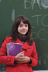 Image showing happy school girl on math classes