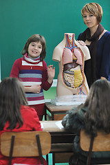 Image showing learn biology in school