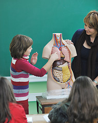 Image showing learn biology in school