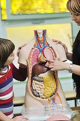 Image showing learn biology in school