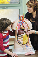 Image showing learn biology in school