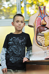 Image showing learn biology in school