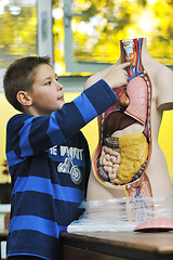 Image showing learn biology in school