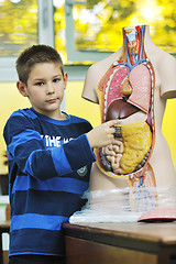 Image showing learn biology in school