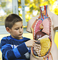 Image showing learn biology in school