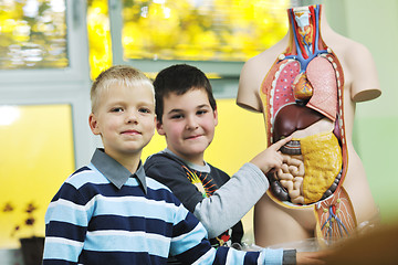 Image showing learn biology in school