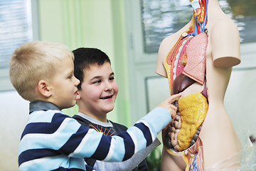 Image showing learn biology in school