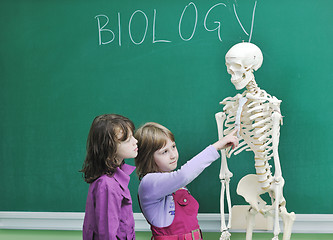 Image showing learn biology in school