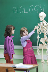 Image showing learn biology in school