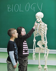 Image showing learn biology in school