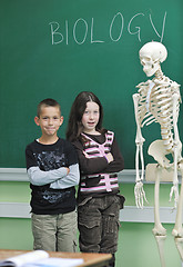 Image showing learn biology in school