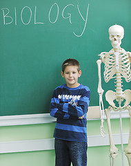 Image showing learn biology in school