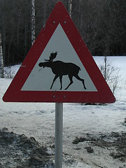 Image showing Trafic sign