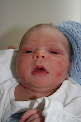 Image showing Baby boy, 1 day old