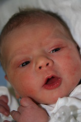 Image showing Baby boy, 1 day old