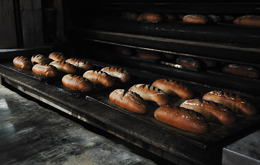 Image showing bread factory production